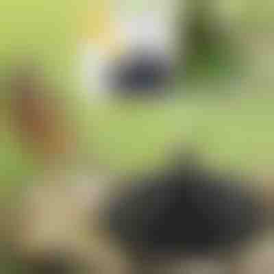 Da vida a tu jardín con la fuente mágica solar | FONTANA